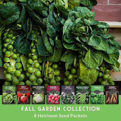 Fall Vegetable Seeds Collection - 8 Packs of Non-GMO Heirloom Cool Weather Seed Varieties for Planting Vegetables | Autumn & Indoor Gardening Variety Pack - Survival Garden Seeds