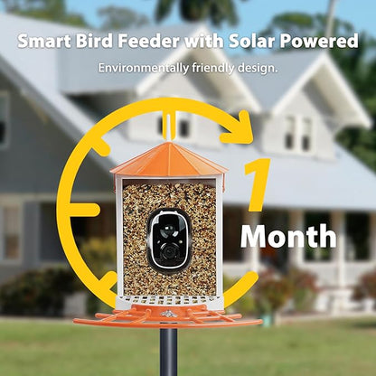 Birdkiss Smart Bird Feeder with Camera Solar, Auto Capture Bird Videos & Motion Detection, Birds Watching Camera Notify in Time, Metal Birds Feeder with Seed Guard, Ideal Present for Mom (Orange)