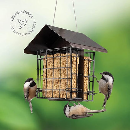 Suet Bird Feeder for Outside [Double Capacity] Suet Wild Bird Feeder with Hanging Metal Roof, Suet Feeders for Outside, for Use with Suet Cakes, Seed Cakes, Mealworm Cakes