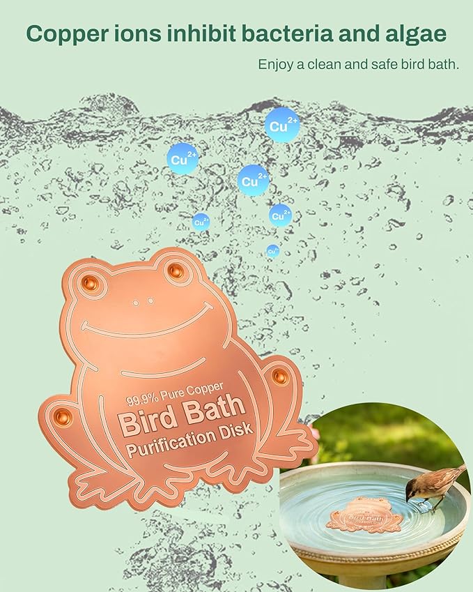 Bird Bath Purification Disk Pure Copper Outside Winter Solar Power Birdbath Hummingbird Window Garden Feeder Ground Bowl Cage Dispenser Pedestal Cleaner Water Fountain Garden Lover Gift Frog