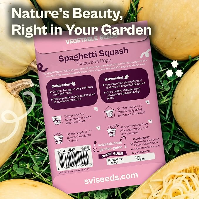 SVI 35 Winter Spaghetti Squash Seeds (Cucurbita Pepo) – Yellow Winter Squash Spaghetti Seed Packets, Long Storage – Heirloom Vegetable Seeds for Outdoor Vegetable Garden, Raised Beds, Peat Pots