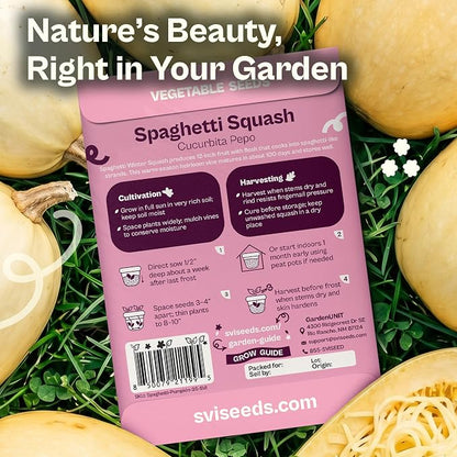SVI 35 Winter Spaghetti Squash Seeds (Cucurbita Pepo) – Yellow Winter Squash Spaghetti Seed Packets, Long Storage – Heirloom Vegetable Seeds for Outdoor Vegetable Garden, Raised Beds, Peat Pots