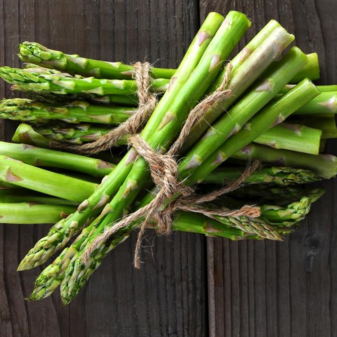 Seed Needs Mary Washington Asparagus Seeds to Plant Heirloom 1 Pack