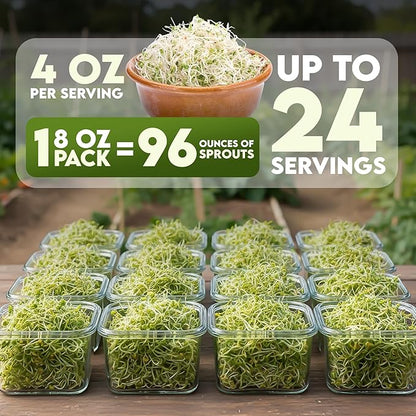 Nature Jim's Organic Broccoli Sprouting Seeds – Non-GMO, Rich in Sulforaphane, Fast-Growing Microgreen Seeds for Indoor/Outdoor Planting– Ideal Organic Sprouting Seed for Nutritious Gardening - 8oz