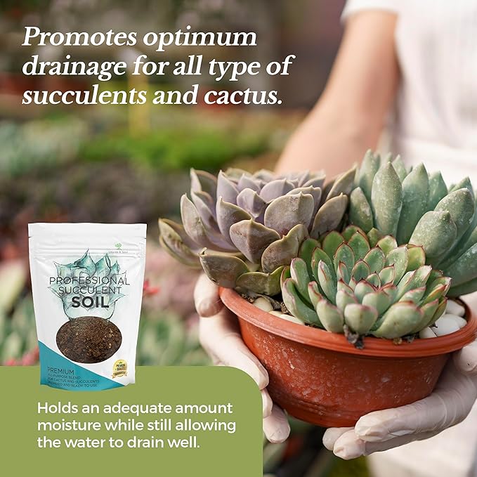 Professional Succulent Soil Mix Large 2.2 Quarts Ready to Use, Premium Potting Soil for Succulents and Cactus, Fast Draining Blend Canadian Peat Coarse Sand Pinebark Indoor Made in USA