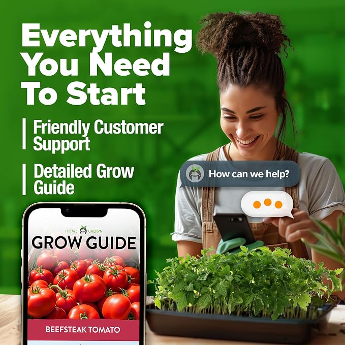 HOME GROWN Beefsteak Tomato Seeds 600+ Heirloom Non-GMO Seeds for Planting, High Germination, Indeterminate Extra Large Meaty Slicing Tomato,Prolific Garden Crop, Sandwich Ready (Solanum lycopersicum)