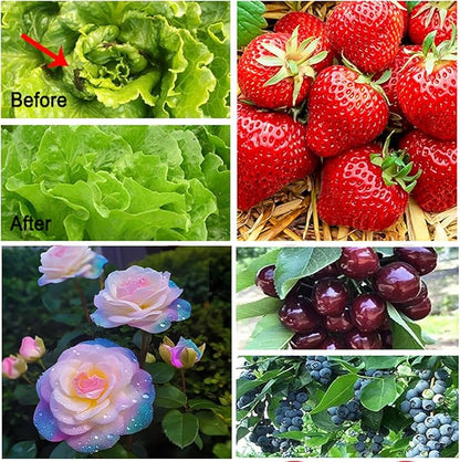 RIFNY Garden Netting, 2 Pack 10x33Ft Ultra Fine Mesh Netting Pest Barrier Protection Bird Mosquito Net Plants Cover for Vegetables Fruits Flowers Crops Greenhouse Row Cover Raised Bed Patio