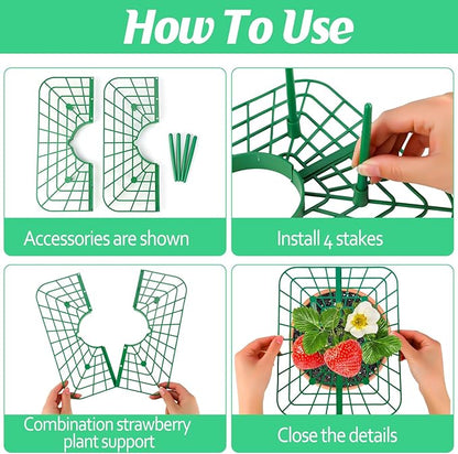 4 Sets Strawberry Plant Support with Mesh Cover - Square Gardening Frame, Animal Barrier, Iron Stakes & Storage Bag for Healthy Strawberries, Tomatoes, Veggies (Green) (4 pcs)