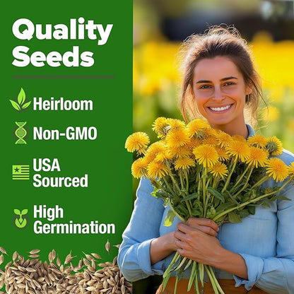 HOME GROWN Dandelion Seeds for Planting – 1200 Heirloom Medicinal Herb Seeds Grow Edible Leaves and Flowers for Remedies or Wildlife (Taraxacum officinale)