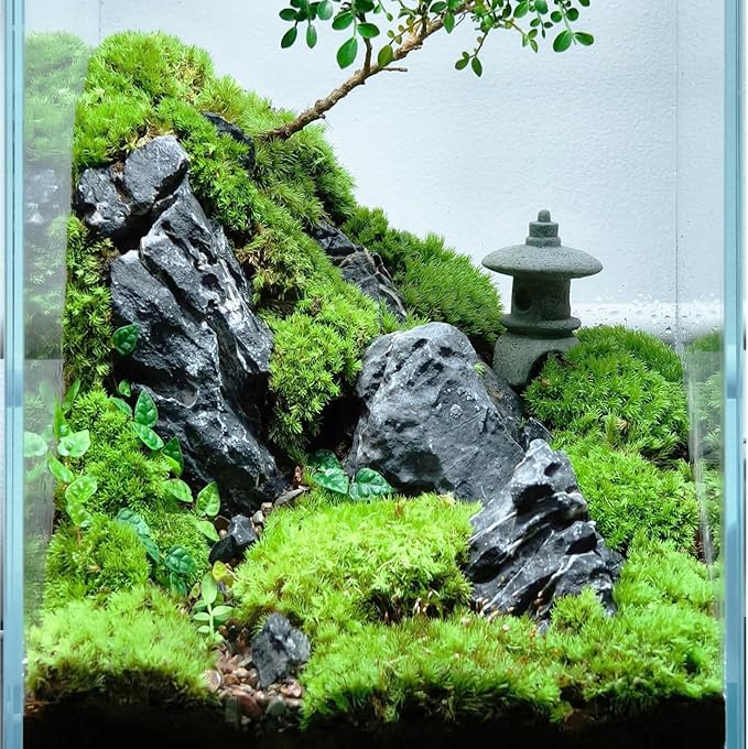 Natural Rocks Seiryu Stone 1-2 Inches Decorative Rocks for Fairy Gardens,Miniature Landscaping,Bonsai,DIY Crafts, Aquariums & Reptile Terrariums-2lb