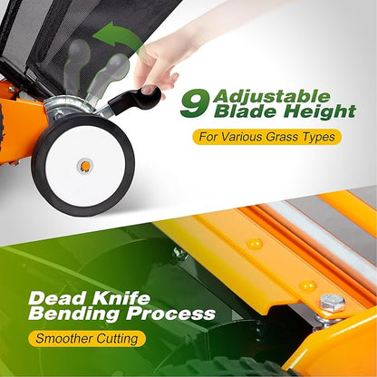 Walensee 20-Inch 5-Blade Push Reel Lawn Mower, Cordless Manual Reel Lawn Mower Walk-Behind Steel Lawn Mowers with Removable 11.8-Gallon Grass Catcher, Sponge Grip, 9-Position Cutting Height Adjustment