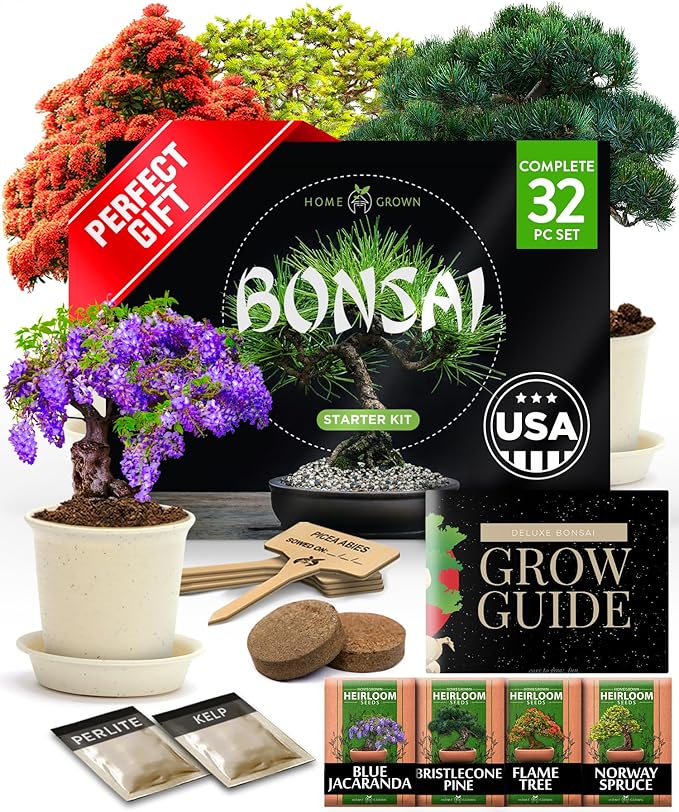 Bonsai Tree Growing Kit 2-Pack – Premium Ceramic Starter Set + 4 Bonsai Trees Variety Kit – Unique DIY Gardening Gift for Men, Women, Beginners & Nature Lovers – Indoor Plant Hobby & Gift Idea