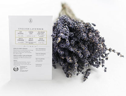 Sereniseed Certified Organic Herb Seeds (20-Pack) – Non GMO, Heirloom – Seed Starting Video – Basil, Cilantro, Oregano, Thyme, Parsley, Lavender, Chives, Sage, Dill Seeds for Indoor & Outdoor Planting