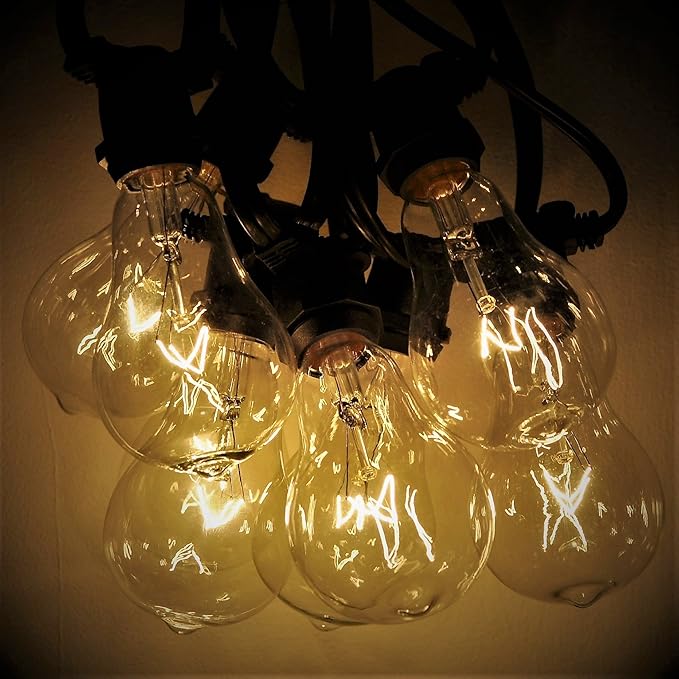 Hometown Evolution, Inc. Commercial Grade Vintage Edison Outdoor String Lights (PS50 Clear - Commercial Black Wire, 25 ft)