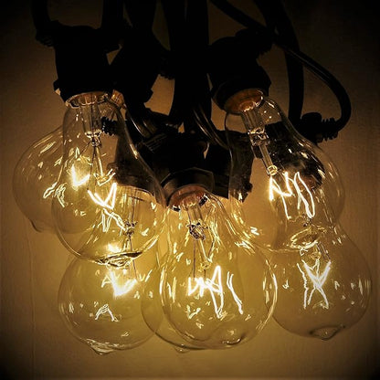 Hometown Evolution, Inc. Commercial Grade Vintage Edison Outdoor String Lights (PS50 Clear - Commercial Black Wire, 25 ft)