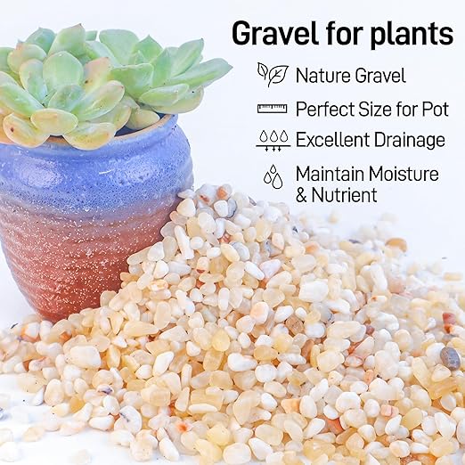 CJGQ 18lb Aquarium Gravel for Plants,1/5 Inch Natural Decorative River Rocks for Succulent and Cactus Landscaping, Natural Small Rocks for Fish Tanks, Vases & Terrariums