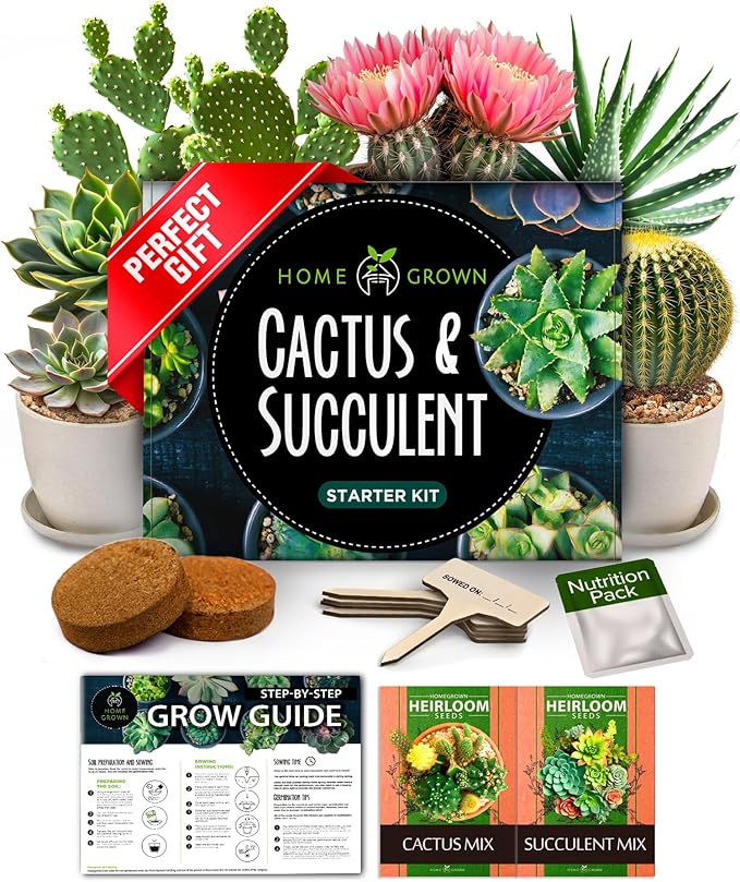 HOME GROWN Bonsai Tree Starter Kit – Unique Christmas Gift for Adults, Men, Women - Grow 4 Bonsais & HOME GROWN Succulent & Cactus Seed Kit for Planting