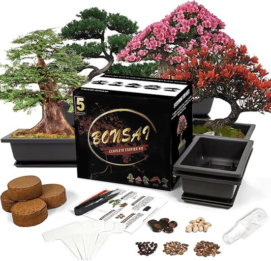Bonsai Starter Kit, Growing Set Including Complete Gardening Tools with A Gift Box, Gifts for Women