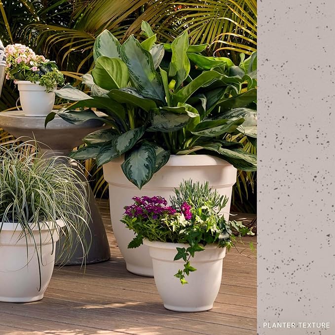 Bloem Ariana 12" Vanilla Bean Round Self-Watering Resin Planter Pot - Rolled Rim Indoor and Outdoor Gardening Planter