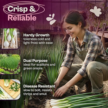 SVI 500 Bunching White Onion Seeds For Planting (Allium fistulosum) – Green Onion Seed Packets, Bunching Scallions Seed, Cebolla – Heirloom Vegetable Seeds for Planting Outdoors Home garden Containers