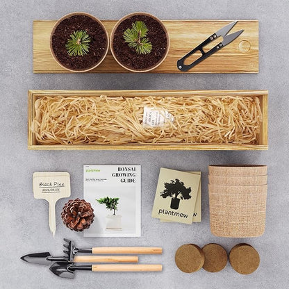 Bonsai Tree Kit for Beginners - 5 Unique Japanese Bonsai Seeds, DIY Indoor Gardening Crafts for Adults | Valentine's, Mother's Day & Birthday Gifts for Women and Men | Complete Starter Kit with Tools