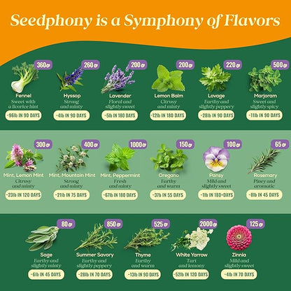 35 Medicinal & Tea Herb Seeds Variety Pack - 16,285+ Non-GMO Heirloom Herbs Seeds for Planting Indoor & Outdoor: Lavender, Rosemary, Echinacea, Mint, Catnip, Basil - Gardening Seed Packets