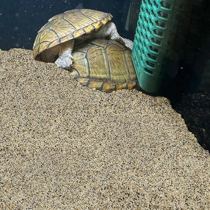 FANTIAN 40 lbs Aquarium Sand. 1/16 Inch Fish Tank Coarse Sand Pea Gravel for Aquarium, Terrariums, Vase Filler, Plant, Soil Drainage and Outdoor Gardens, Landscaping
