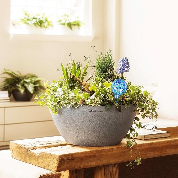 Plant Watering Globes Set of 8 - Large Self Watering Globes for Indoor & Outdoor Plants - Multicolored, Automatic, Glass Watering Bulbs for Daily Use, Plant Watering Devices