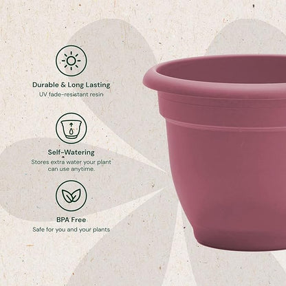 Bloem Ariana 8" Dusty Rose Round Self-Watering Resin Planter Pot - Rolled Rim Indoor and Outdoor Gardening Planter