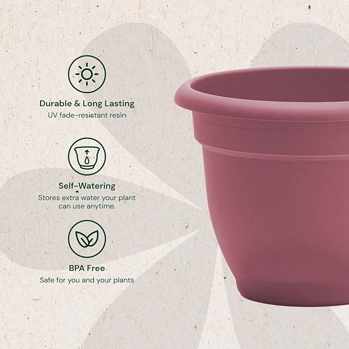 Bloem Ariana 6" Dusty Rose Round Self-Watering Resin Planter Pot - Rolled Rim Indoor and Outdoor Gardening Planter