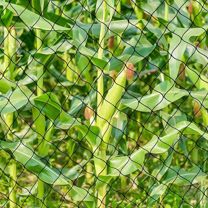 BSTPCOO Bird Net 25'x25' with 2.4" Square Mesh Bird Netting for Chicken Coop Roof, Poultry Netting Heavy Duty Nylon for Garden, Chicken Netting Fruit Tree Netting, Hawk Netting for Chicken Run