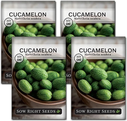 Sow Right Seeds - Cucamelon Seeds for Planting - Non-GMO Heirloom Packet with Instructions to Plant an Outdoor Home Vegetable Garden - Mini Bitter Mouse Melon, Mexican Sour Gherkin - Rare Variety (4)