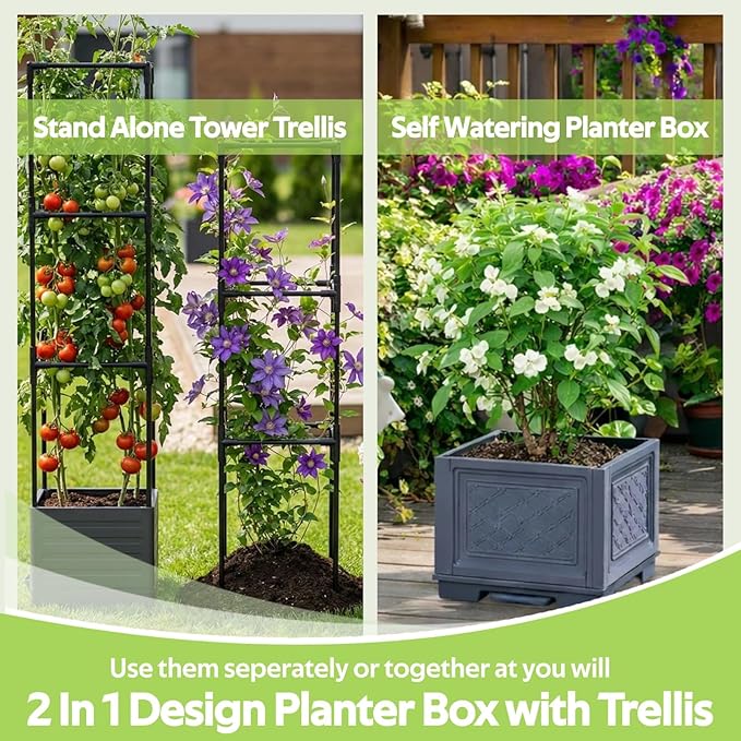 Tomato Planter Box with Trellis - Self-Watering Rolling Raised Garden Bed with Tomato Cages for Climbing Plants - Tomato Pots with Cage Plant Support for Flower Vegetable Vine Indoor Outdoor