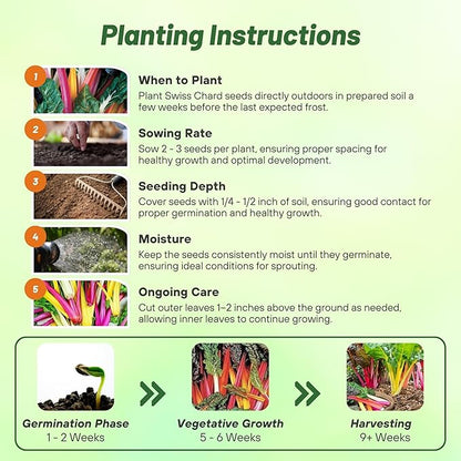 Outsidepride Mix Swiss Chard Seeds for Planting Vegetables & Microgreens - 2000 Pcs Vibrant, Tasty & Highly Nutritious Biennial Vegetable Seeds for Garden Beds, Borders, & Containers