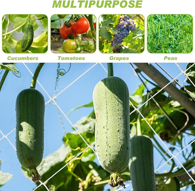 Berlune 6.5 x 700 ft Trellis Netting Roll Soft Mesh Nylon Heavy Duty Garden Trellis Netting Bulk for Climbing Plants, Grape Racks, Growing Support Bean, Pea, Tomatoes