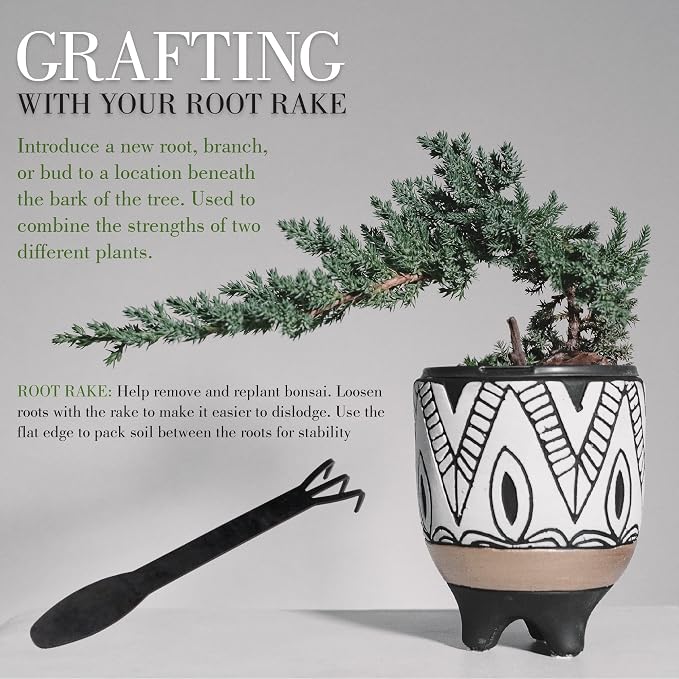 BambooMN Bonsai 2pc Set - 9" Root Pick and 9" Root Rake - 1 Set