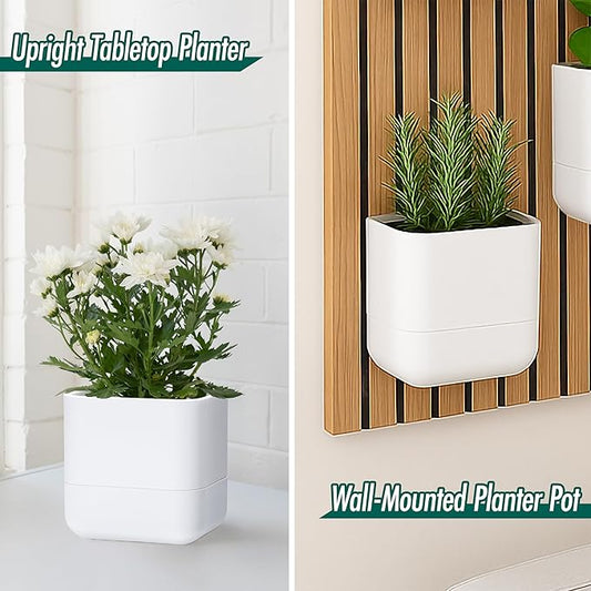 Phoenix Vine 6.5 Inch Wall Mounted Self-Watering Planter Pot for Indoor Houseplants and Herbs | Hanging Planter for Window Sills, Bathroom Walls, Home & Office Décor, White, Set of 1, 01-C-D-1