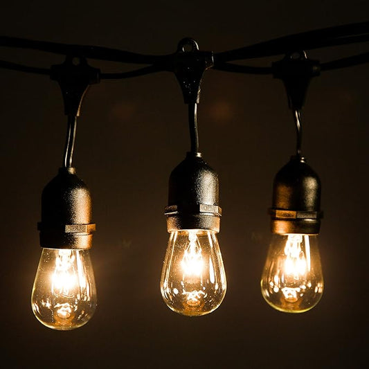 Hometown Evolution, Inc. 50 Foot E26 Commercial Outdoor String Lights with 25 Suspended Sockets and S14 Clear Bulbs for Weatherproof Heavy Duty Vintage Outside Lighting