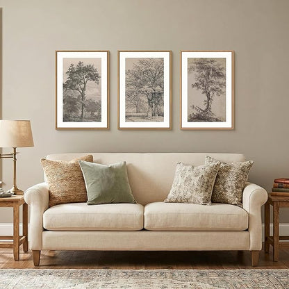 KAIRNE Vintage Tree Sketch Framed Canvas Wall Art Set, Antique Tree Drawings Wall Decor, Retro Forest Art Prints, Modern Nature Landscape Artwork for Living Room, Bedroom, Farmhouse, Office-16 x24 x3