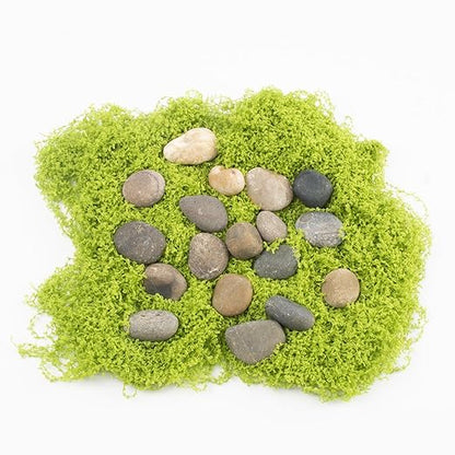 10 LBS Natural Pebbles - 1/2-1 inch Natural River Stones, Screened Decorative River Rocks for Landscaping, Garden Pathway, Plant Stones, Craft Walkways, and Outdoor Decorative (1/2-1 Inch