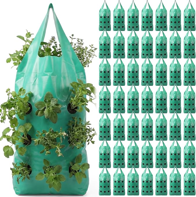 50 Pack Hanging Strawberry Planter Grow Bags, 9 Hole Plastic Hanging Vertical Planters, Upside Down Garden Bags with Reinforced Handles for Outdoor Wall Strawberries, Cherry, Tomatoes, Flowers, Tomato