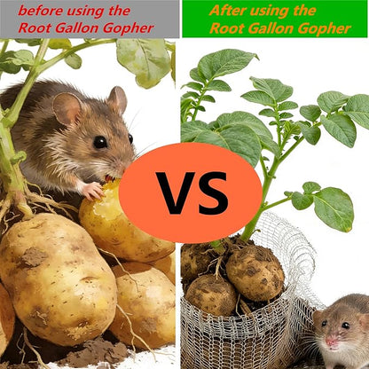 Root Gallon Gopher 304 Stainless Wire Speed Baskets,Garden Net Plant Root Protection Anti Gopher Baskets Plant Root Protector Gopher Baskets for Burrowing Animal (1 Gallon X 6PCS)