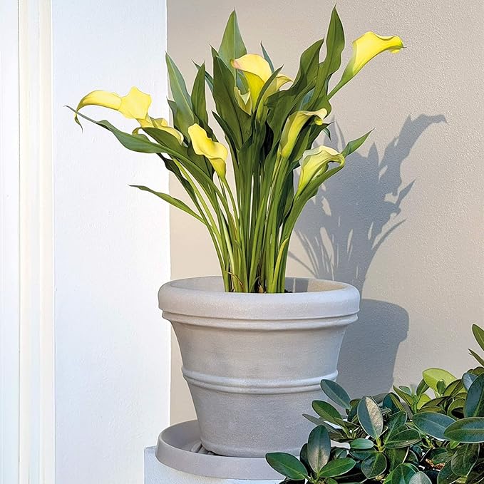 Crescent Garden Brunello Classic Rolled Rim Planter Pot, Indoor/Outdoor Plastic Round Plant Pot - Decorative Flower Pot - 20'' (Parchment)