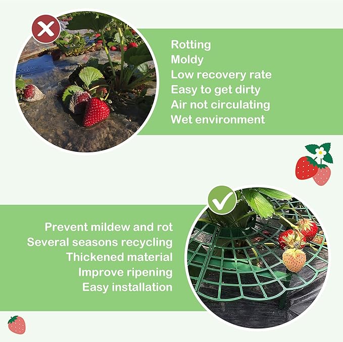 5 Packs Strawberry Supports - Reusable Strawberry Plant Stand Waterproof Growing Frame Plastic Fruit Tray Protectors Sturdy Strawberry Growing Racks to Keep Strawberries Off Mold, Rot and Dirt