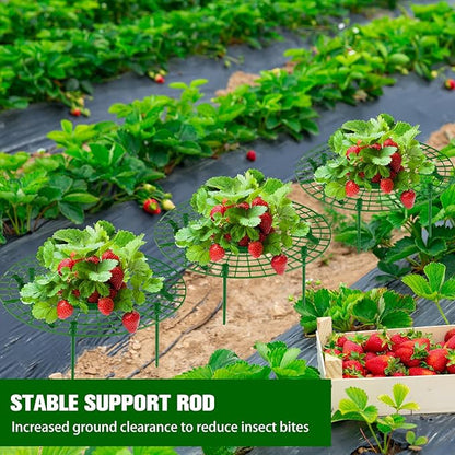 Irenare 24 Pack Strawberry Plant Support with Plant Labels Large Size Strawberry Growing Racks Growing Frame Stand Holder for Keeping Garden Strawberry Clean