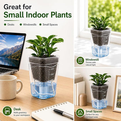 12 Pack 2.5" Self Watering Seed Starter Cups, Clear Mini Planters for Indoor Plants, Help Prevent Overwatering, Promote Healthy Growth for Seedlings, Cuttings & Small Plants, with 12 Labels