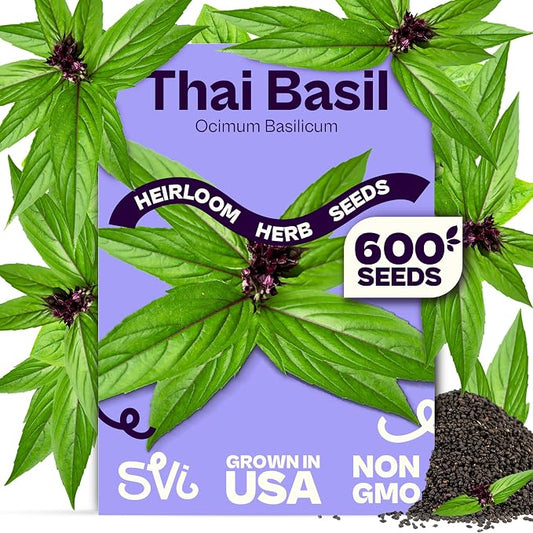 SVI 600 Sweet Thai Basil Seeds (Ocimum basilicum) – Basil Seed Packets Aromatic, Heat-Tolerant – Non GMO Heirloom Herb Seeds for Containers, Outdoor & Indoor Herb Garden