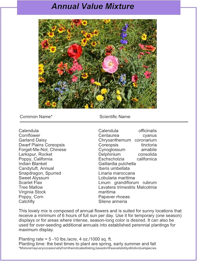Wildflower Seed Shaker – Annual Mix by GevaGrow | 17 Variety Flower Seeds for Planting in Pots & Outdoor Gardens, Bulk 300,000+ Seeds - 1 Pound Tub