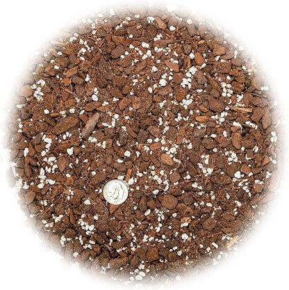 GARDENERA Monstera Obliqua Soil Blend - Customized for Unique Plant Needs by Gardenera - 4 Quart