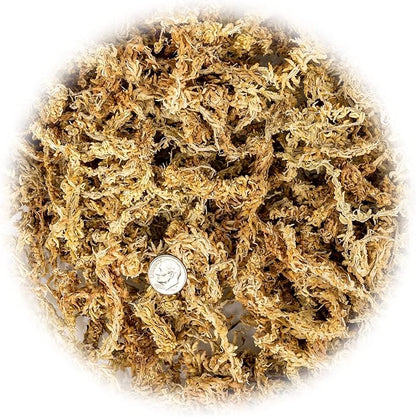Premium Grade Sphagnum Moss by Gardenera - 20 Quart - Organic Hand Mixed New Zealand Long Fibered Sphagnum Moss Orchid - 4 Bags of 5 Quart